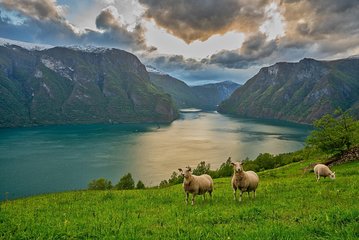 PRIVATE GUIDED TOUR: Norway's Highlights – Viking Special, 11-12 hours – SUMMER