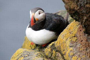 The Great Round Tour: Around Iceland in 13 Days