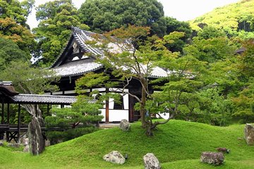 Carefree Private Exploration of Fushimi Inari, Gion, Kiyomizudera, and More