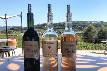 Bandol/Cassis Wine Day Tour : 8hours 