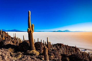 Salar De Uyuni (1Day) - Spanish Speaking Guide