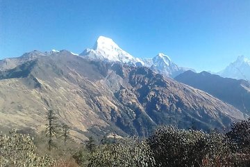 Mulde & Khopra Danda Trek