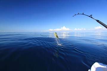 Fishing 4 Hours & Snorkeling Sea Trip By Speed Boat (Semi Private) - Hurghada