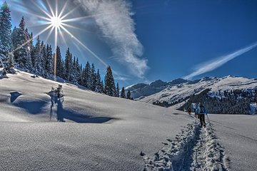 Guided Winter Wonderland Snowshoeing Adventure From Prague