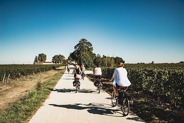 From Saint-Emilion : Electric Bike Day Tour with Wine Tastings and Picnic Lunch