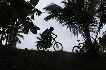 Sunset Ride along Alappuzha coast