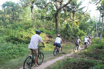 Alappuzha Backwaters & Beaches Bike Tour