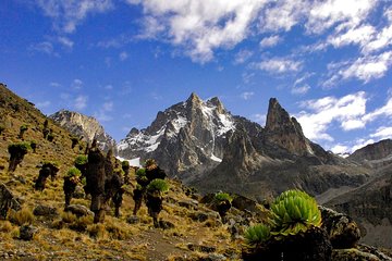 5-Days Mount Kenya, Lake Nakuru & Masai Mara Wildlife Safari