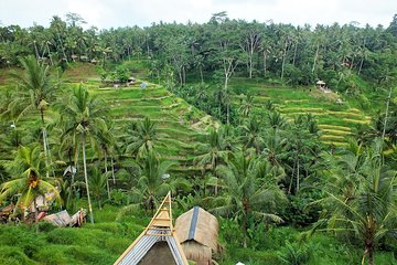 Bali Dance, Ubud Village, Scenic Rice Field And Waterfall Visit.