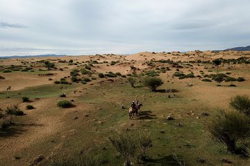 Overnight Semi-Gobi, Khustai National Park