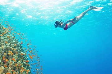 Bali Snorkeling At Blue Lagoon With Personal Guide