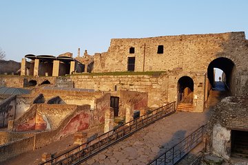 Pompeii and Herculaneum guided tour with an English-speaking archaeologist