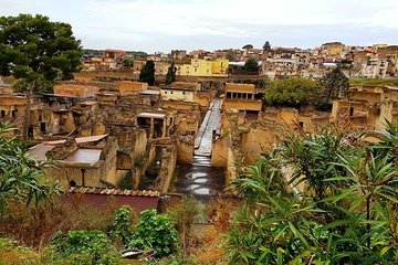 Herculaneum Private Two-hour Tour With A Real Archaeologist