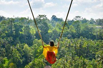 Best of Ubud Tour with Jungle Swing