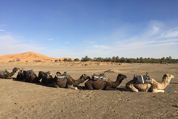 5 Days tours from Tangier to Chefchaouen, Fez, Merzouga Desert and Marrakech