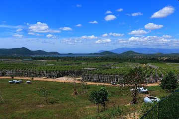 La Plantation tour (discovering Kampot Pepper) + Lunch