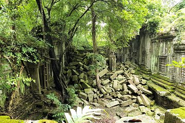 1 day special Tour: Angkor Wat,Bayon,Ta Prohm, Bantey srei and Beng Mealea