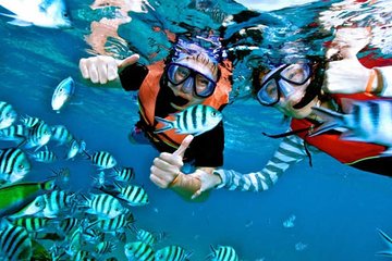 Snorkeling Experience At Blue Lagoon Bali With Lunch And Transfers