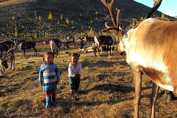 Multi-Day Tour to the Reindeer Tribe in Mongolia