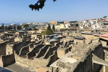 Herculaneum-Wine tour from Sorrento, with licensed guide included