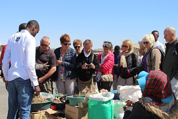 Swakopmund Historical Local Cultural Experience Day Tour for Cruise Ships