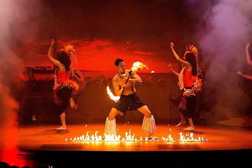 Orlando Polynesian Fire Luau and Dinner Show Experience