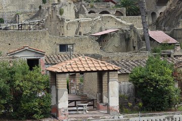 Excavations of Herculaneum. Tour guide and skip-the-line ticket