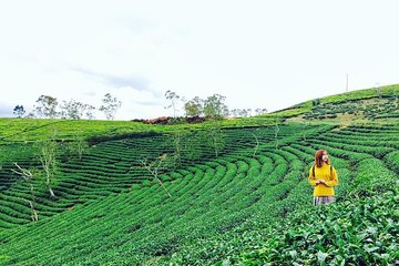 Private 3days 2 nights Da lat flower paradies from Saigon 