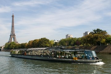 Paris city tour & Lunch cruise with small group