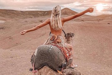 Desert Agafay Day Trip from Marrakech Berber Villages & Waterfalls & Camel Ride