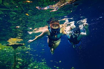 Tour Xenotes Departure from Playa del Carmen 