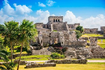 4x1 Tour: Coba Tulum Open Cenote and Playa del Carmen City from Cancun
