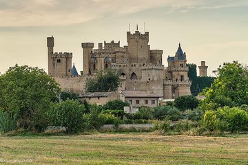 Pamplona and Olite Royal Palace small group tour, lunch included