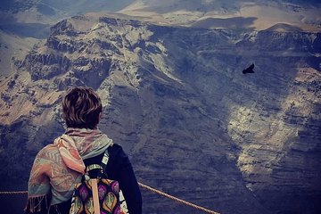 Condor watching tour at the Andes + Artisan Village in Santiago