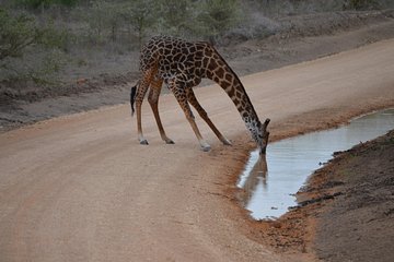 3 Days Selous Game reserve (Nyerere National Park)