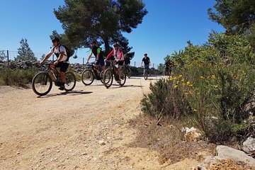  Private ebike tour to Calanques or city