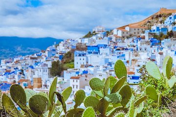 Day trip to Chefchaouen and Akchor water falls