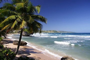 From Liberia Airport To Tamarindo Hotels Shuttle Service