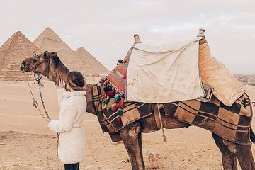 Camel Ride or Horse around the Pyramids
