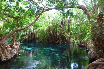 Best Mteruni waterfall and chemka hotspring day Tour Experience