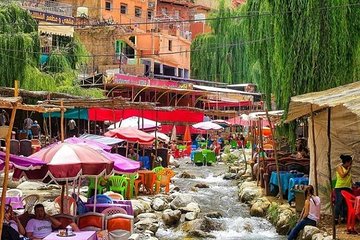 Tangier Private Full Day Tour Including Camel Ride