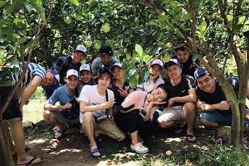 Mekong Delta 1 day deluxe tour (small group tour)