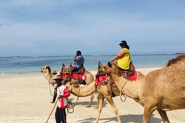 BALI HOLIDAY TRANS#Bali Camel Adventure#