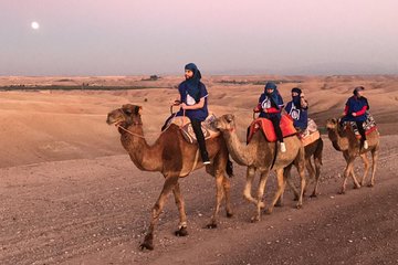  Quad bikes & Camel in Agafay Desert with lunch 