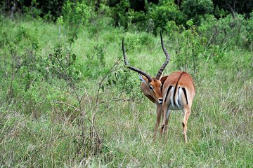 1 Day Mount Longonot Trek