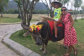 Luxury private Ninh Binh day trip from Hanoi (Hoa luu-Tam Coc- Cycing)