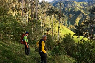 Wax Palm Feeling Hike (1 night-2 days)