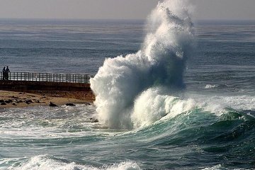 A Local’s Guide to La Jolla’s Sights: A Self-Guided Urban Stroll