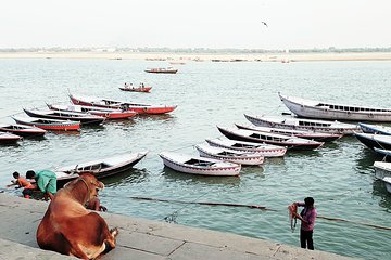 Explore the Highlights of Varanasi 