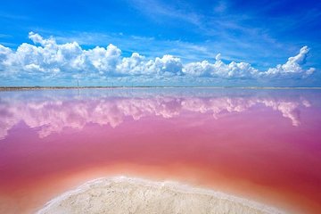 Natural Pink Lake Coloradas Transportation Included from Tulum